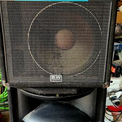 Your Lucky Day...Peavey SP2 speakers