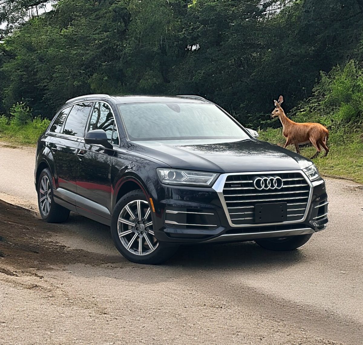 2017 Audi Q7