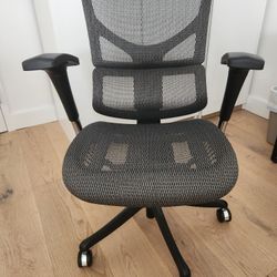 X-Chair X1 Flex Mesh Task Chair 