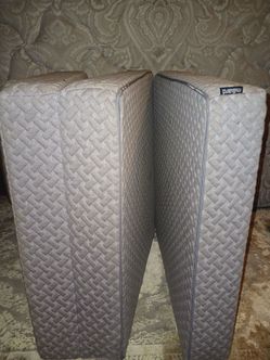 Cushion