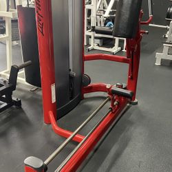 Life Fitness Flute Kickback