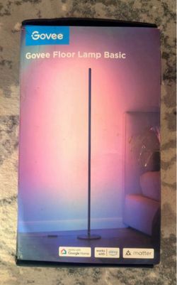 Govee Floor Lamp Basic