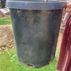 Botes Para Plantas