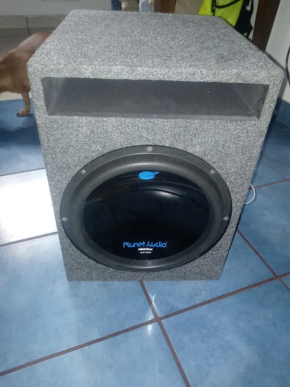 12" subwoofer