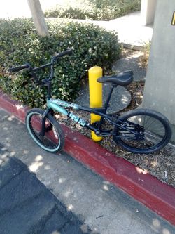 Bicycle 40.00 must sell moving
