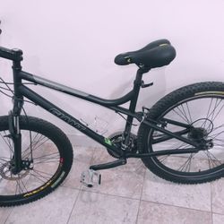Giant Bicycles Used But Good.