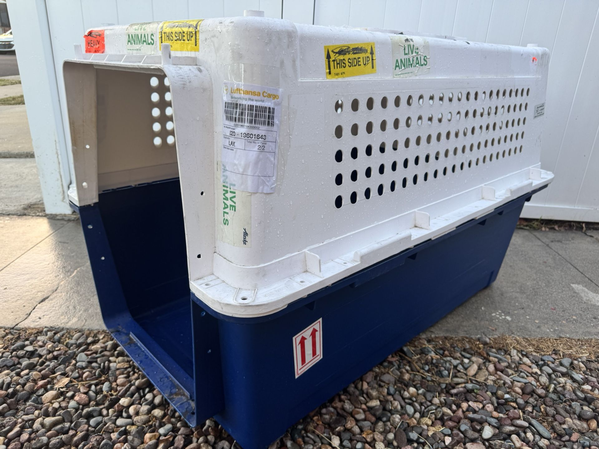 Big Dog Kennel