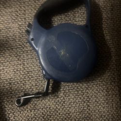 Blue Dog leash