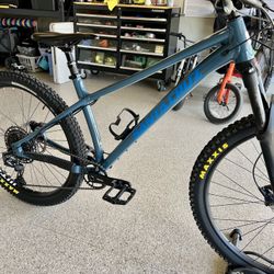 Santa Cruz Chameleon 