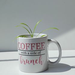 Lush Global Green Spider Plant/ indoor Plant/ house plant flower patio garden