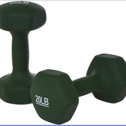 Amazon Basics 20IB Neoprene Dumbbell Hand Weights for Exercise and Muscle Toning 