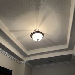 Ceiling Fan, And Two Ceiling Lamps In Good Condition. 