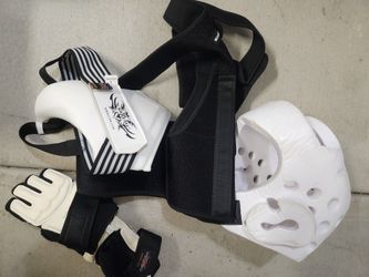 Taekwondo Chest Guard Pad Size 1 Small & Forearm Shin Foot Pads Youth Small