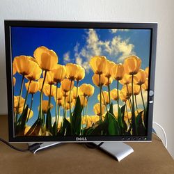 Dell 19 Inch Monitor, VGA and DVI Connections, USB Ports