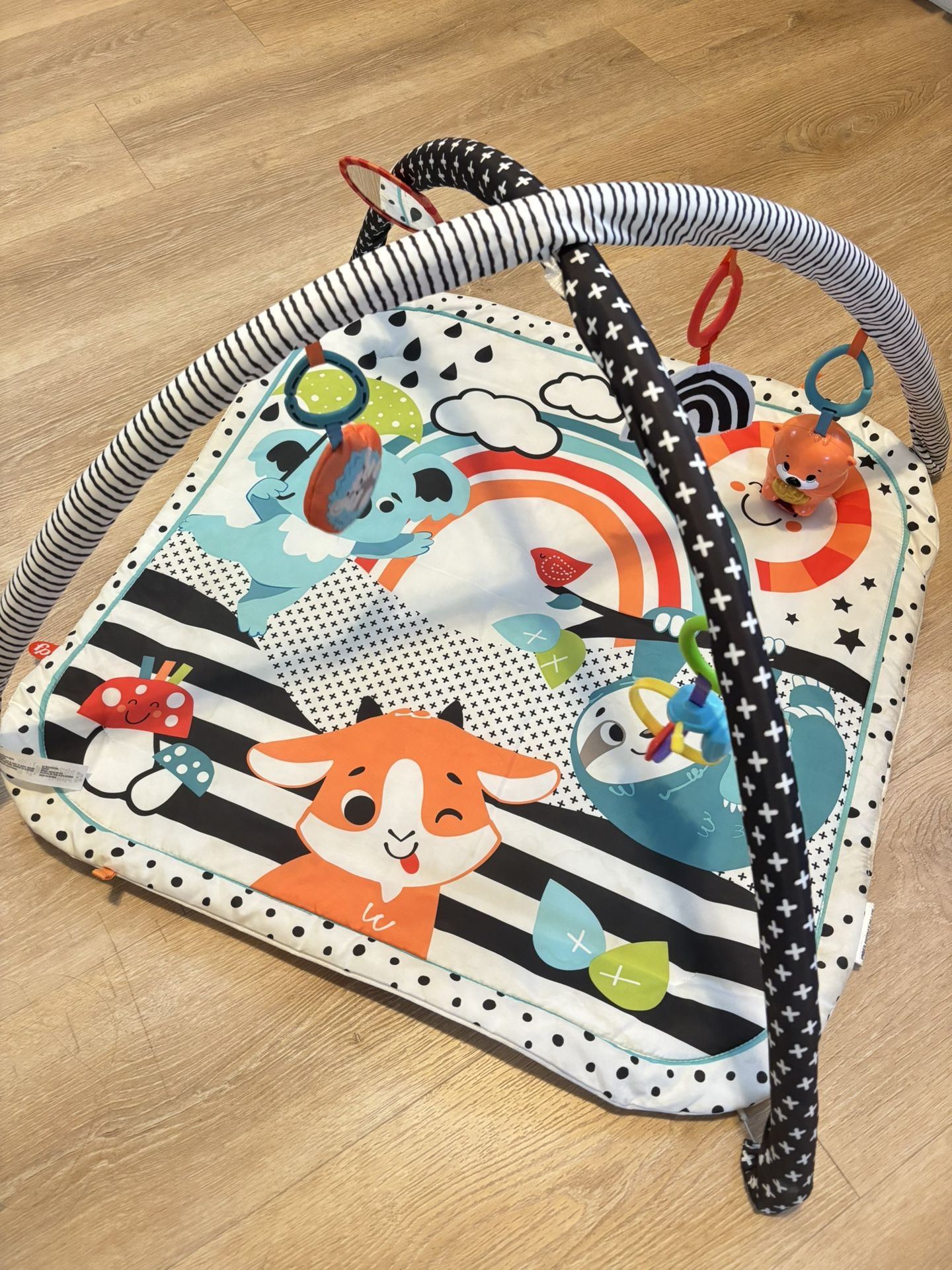 Baby Play Mat