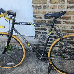 Kadoba Fixie Bike Good Condition Just Dusty 