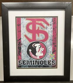 Florida State Picture 