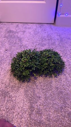 Fake Bush Leaves