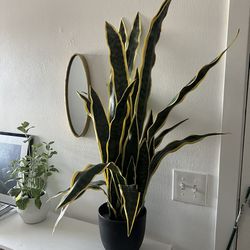 Snake plant (artificial)