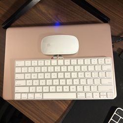 Magic Apple Mouse + Magic Apple Keyboard 