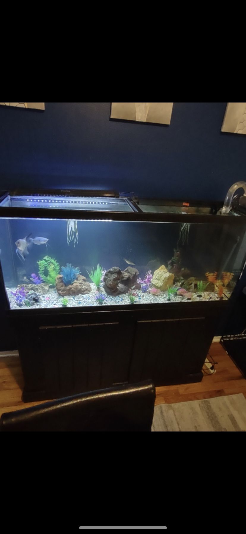 Fish Tank 75 Gallons