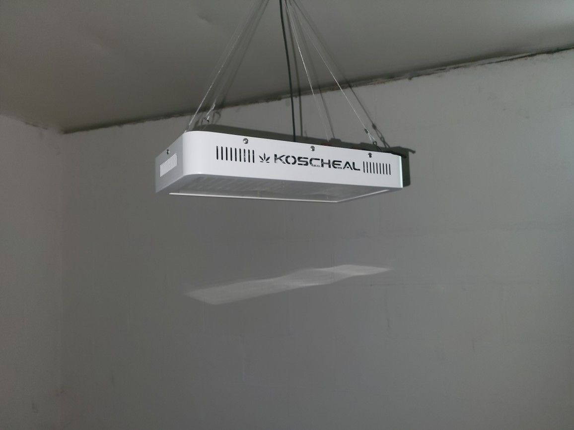 LED Grow Light