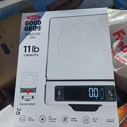 Stainless steel scale