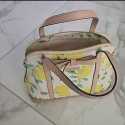 Kate Spade Purse (Discontinued)