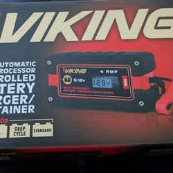 Viking battery charger and maintainer