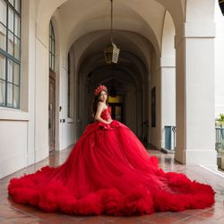 Red Quince/sweet16 dress