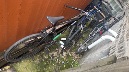 Fixie
