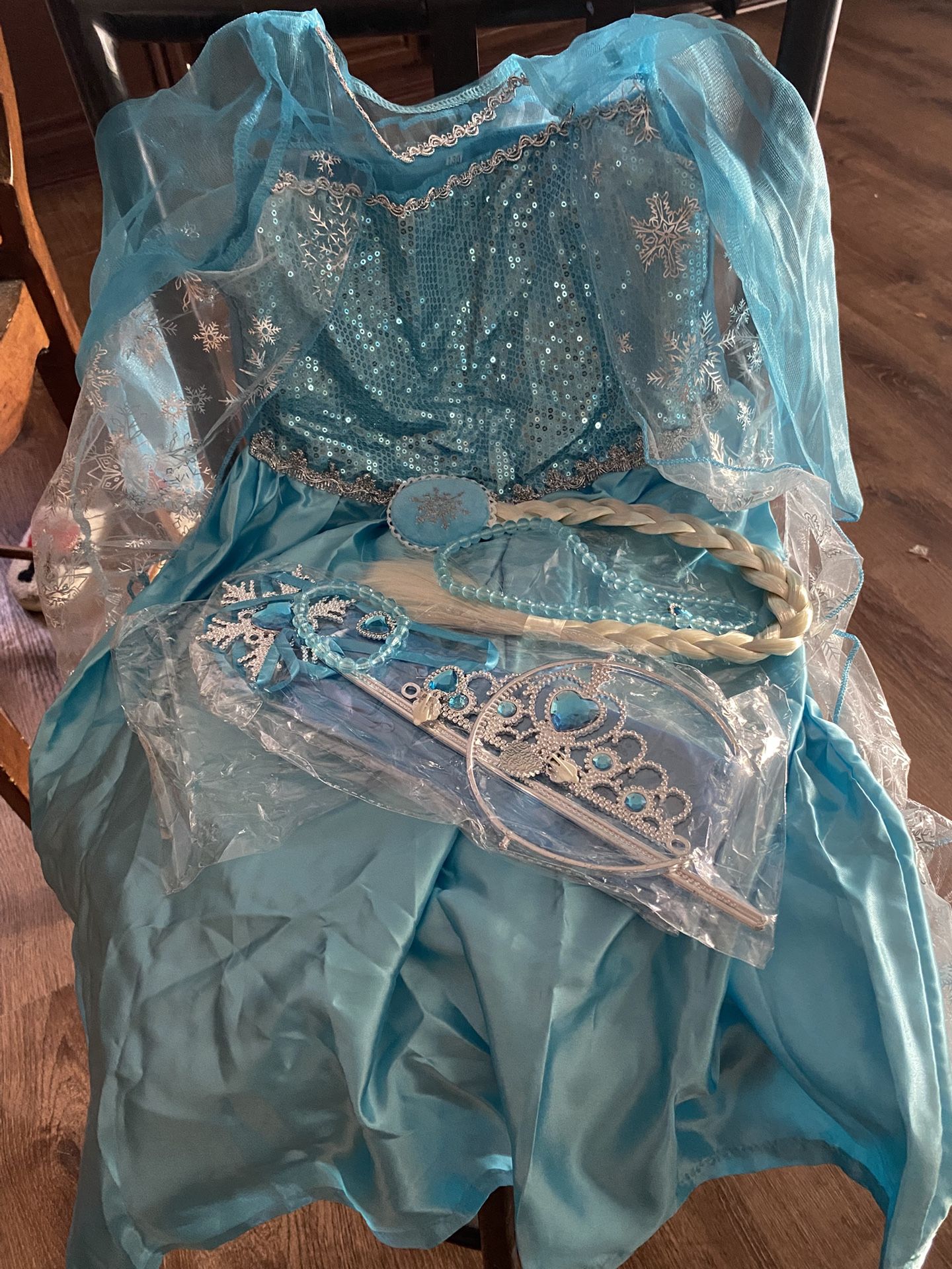 Elsa Costume