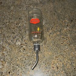 Large Glass Water Bottle For Pet Rabbit 