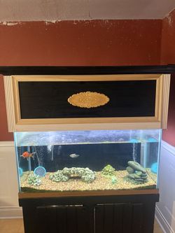 90 Gallon Aquarium Tank