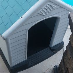 Dog House