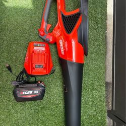 ECHO Blower, Battery and Rapid Charger / Sopladora ECHO con Batería y Cargador