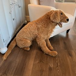 Large Stuffed Animal Golden Retriever