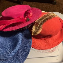 3 Ladies Hats 3.00 Each