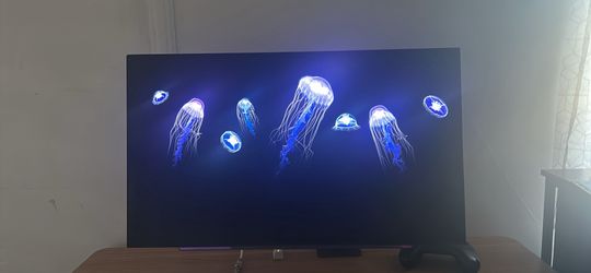 OLED monitor