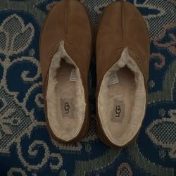 Uggs Neuman Sz M11