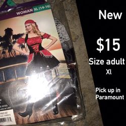 Lady pirate costume