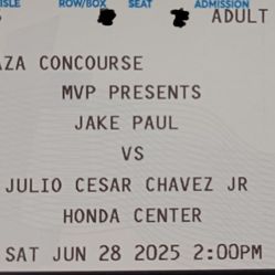 Jake Paul vs. Julio C. Chávez Jr. Ticket