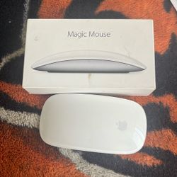 Magic Mouse for Apple PC