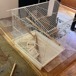 Bird Cage