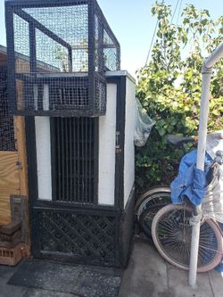 Kit cage for Roller Pigeons