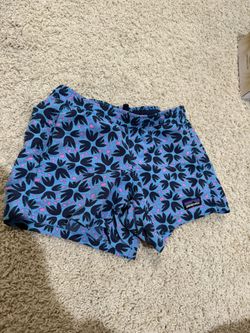 Patagonia Shorts