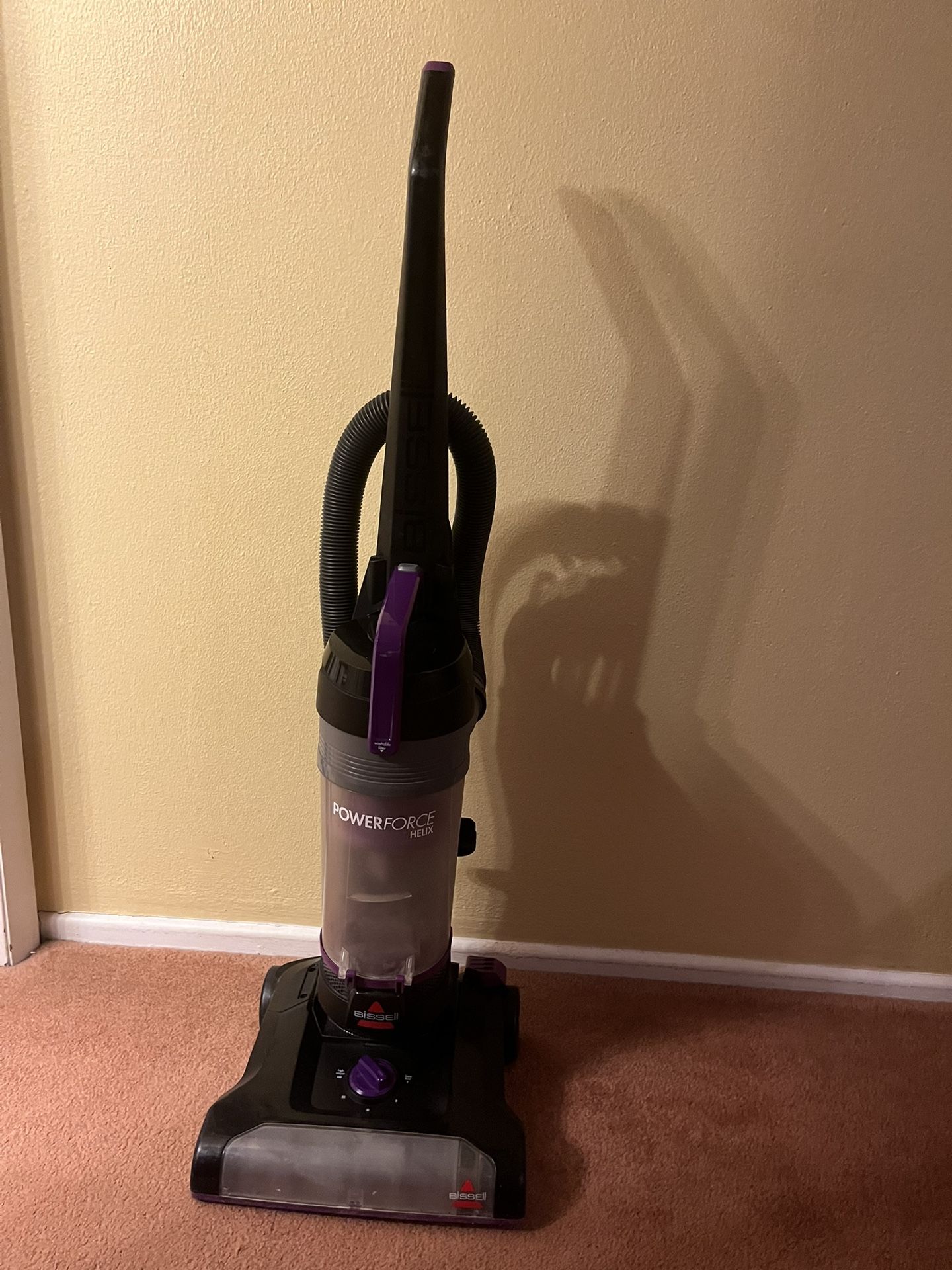 Bissell Vacuum Rewind Pet
