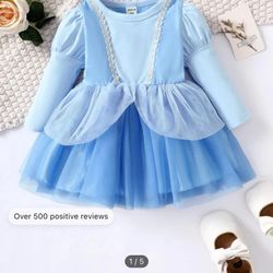 Cinderella Dress