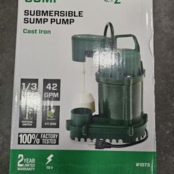 Sump Pumps 