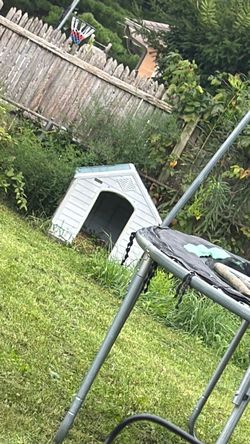 Dog house